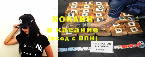 ГАЛЛЮЦИНОГЕННЫЕ ГРИБЫ Инта