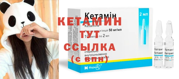 ГАЛЛЮЦИНОГЕННЫЕ ГРИБЫ Инта