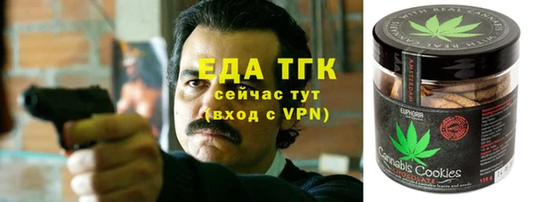 ГАЛЛЮЦИНОГЕННЫЕ ГРИБЫ Инта