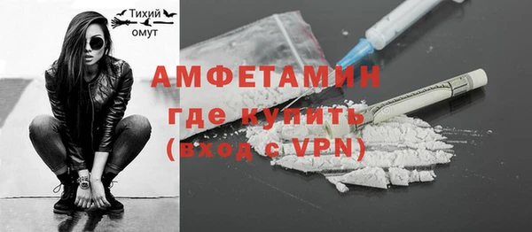 ГАЛЛЮЦИНОГЕННЫЕ ГРИБЫ Инта