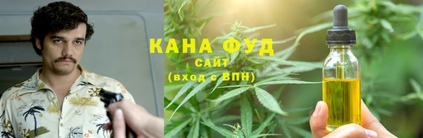 ГАЛЛЮЦИНОГЕННЫЕ ГРИБЫ Инта