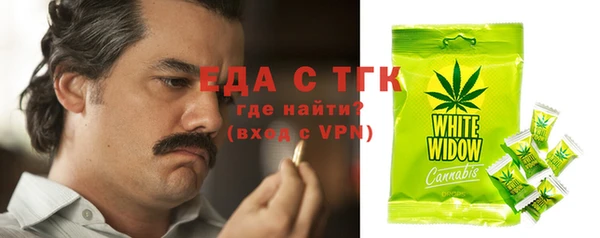 ГАЛЛЮЦИНОГЕННЫЕ ГРИБЫ Инта