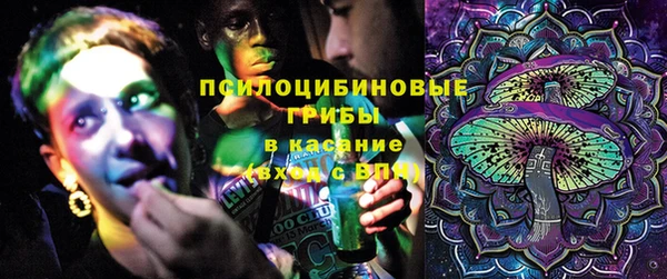 твердый Иннополис
