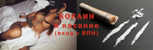 ГАЛЛЮЦИНОГЕННЫЕ ГРИБЫ Инта
