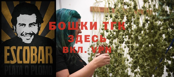 твердый Иннополис
