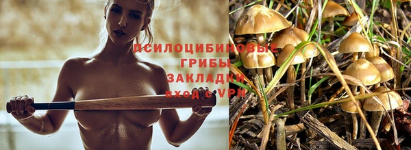 мдма Инсар