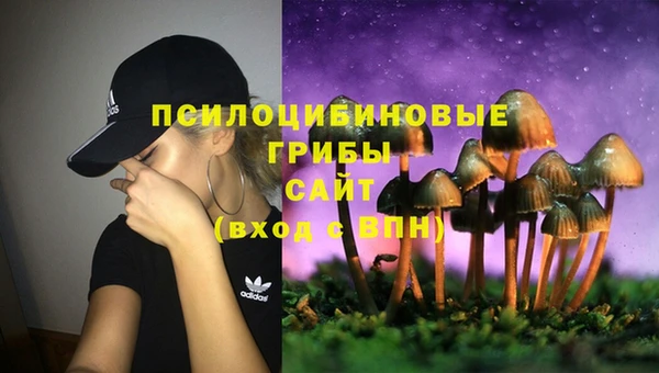 мдма Инсар